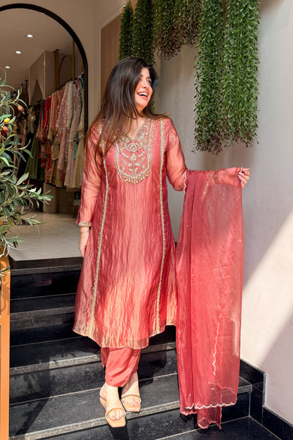 Navira Tissue Embroidered Suit Set