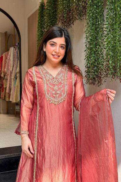 Navira Tissue Embroidered Suit Set
