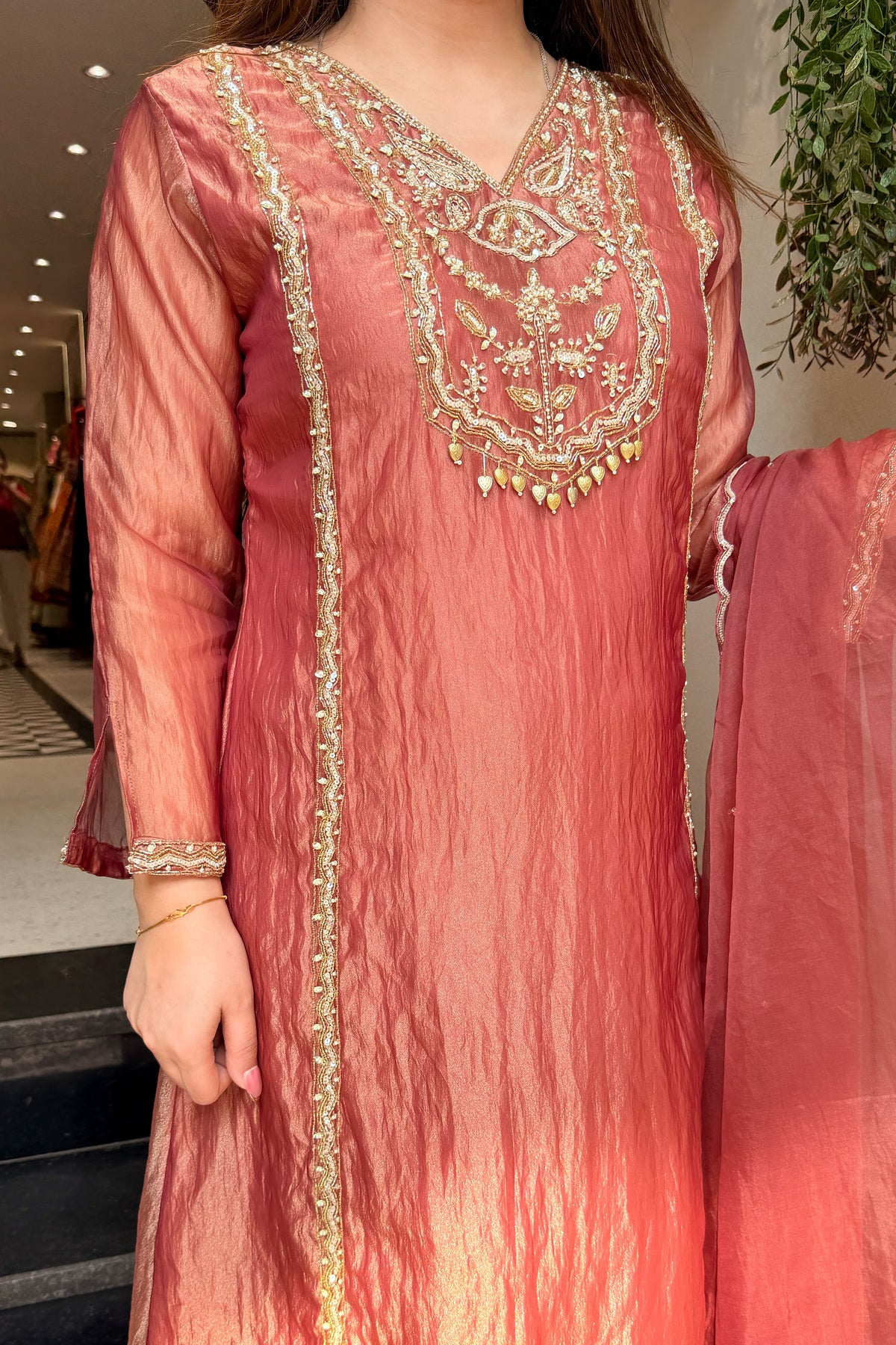 Navira Tissue Embroidered Suit Set