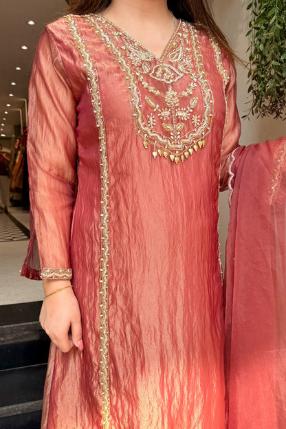 Navira Tissue Embroidered Suit Set