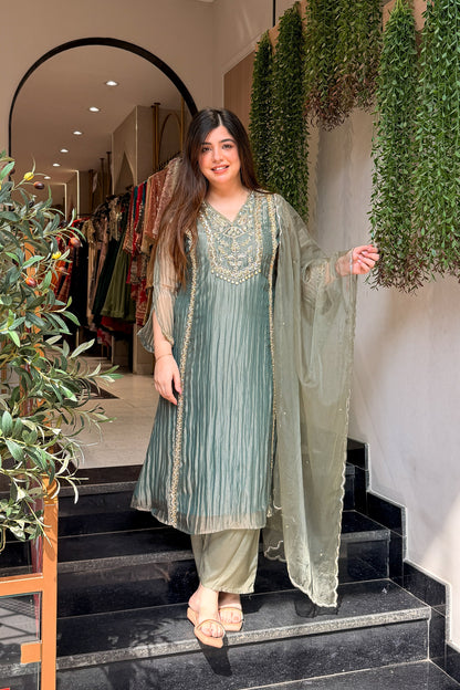 Navira Tissue Embroidered Suit Set