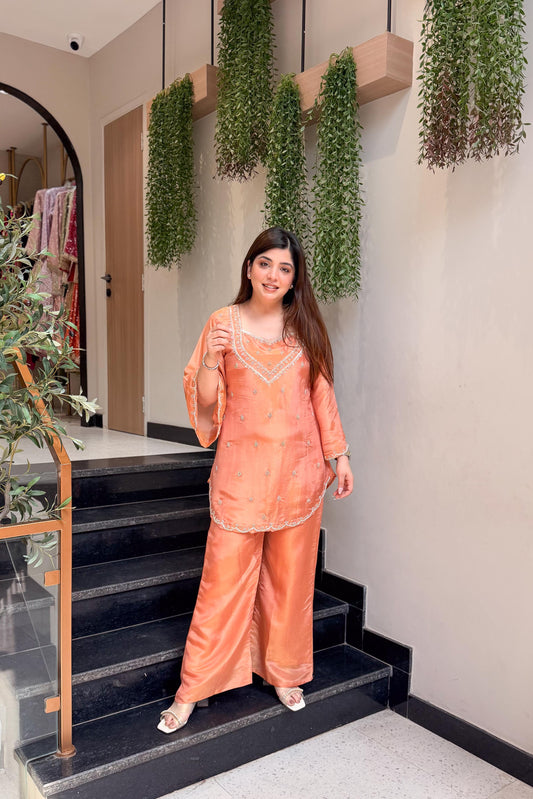 Vidhi Embroidered Co ord Set