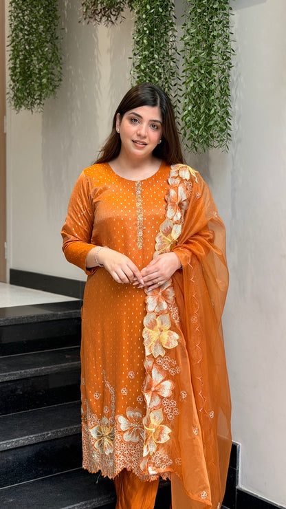 Sweena Rust Embroidred Suit Set