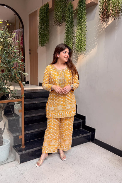 Pratha Embroidered Lucknavi Co ord set