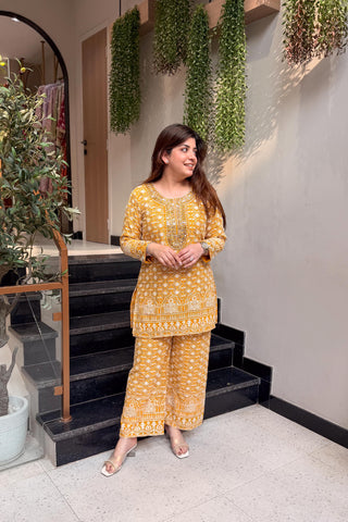 Pratha Embroidered Lucknavi Co ord set