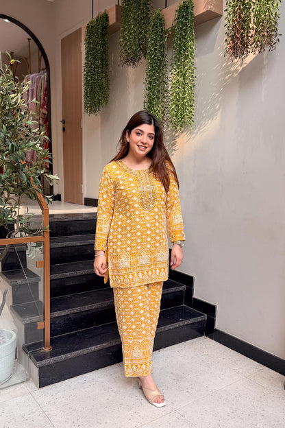Pratha Embroidered Lucknavi Co ord set