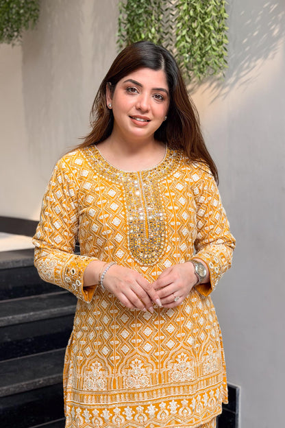 Pratha Embroidered Lucknavi Co ord set