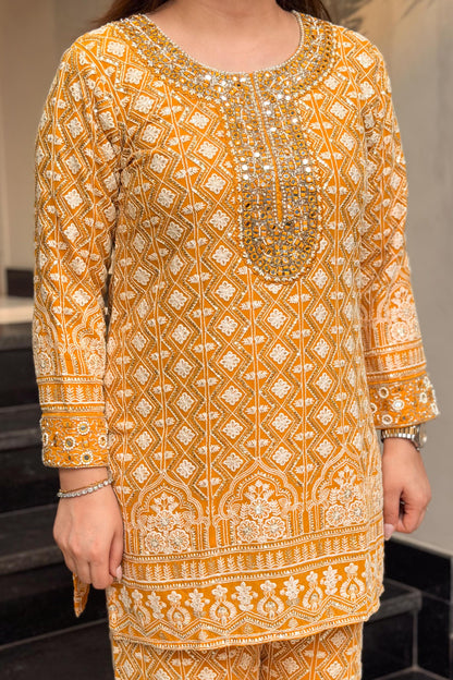 Pratha Embroidered Lucknavi Co ord set