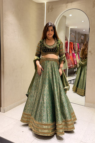 Navrooh Hand Embroidered Lehenga
