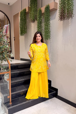 Meera Thread Embroidered Co ord Set