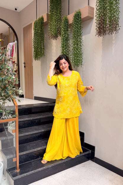 Meera Thread Embroidered Co ord Set