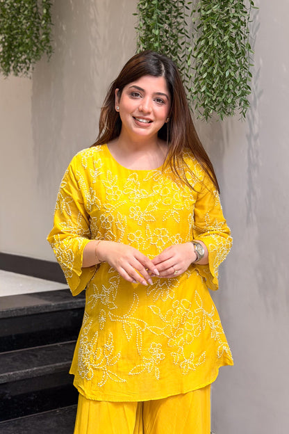 Meera Thread Embroidered Co ord Set