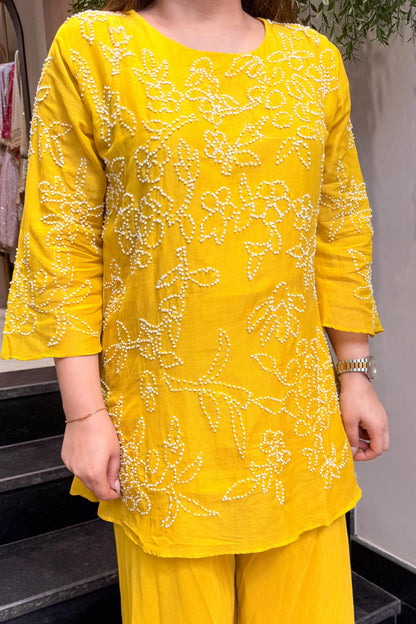 Meera Thread Embroidered Co ord Set