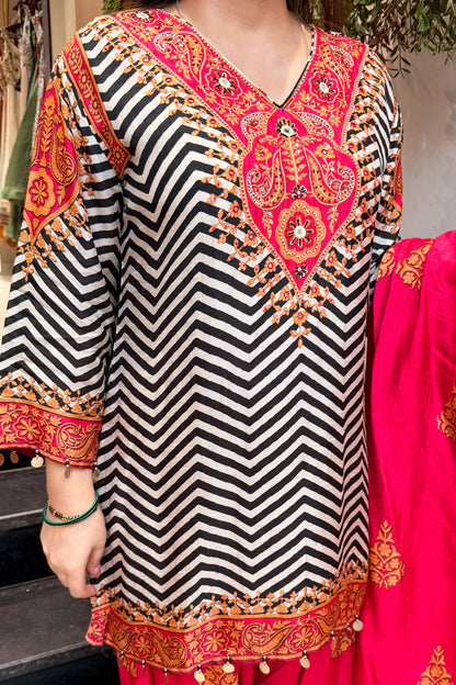 Eshvika Embroidered & Printed Suit Set