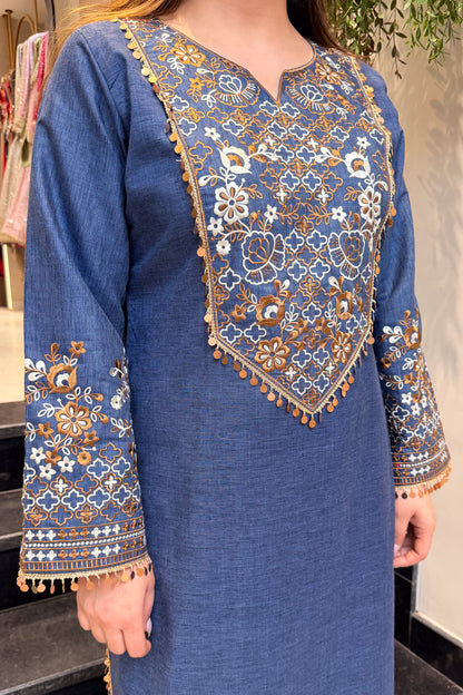 Kaya Thread Embroidered Co ord Set