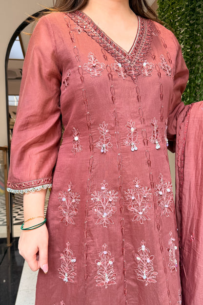 Brishti Embroidered Anarkali Suit Set