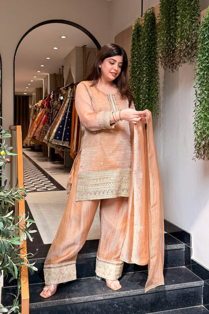 Oviya Embroidered Suit Set