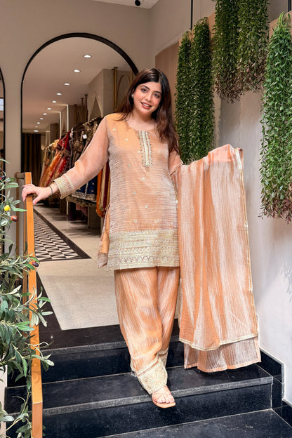 Oviya Embroidered Suit Set