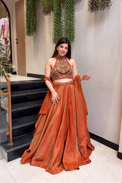Mehr Rust Hand Embroidered Lehenga