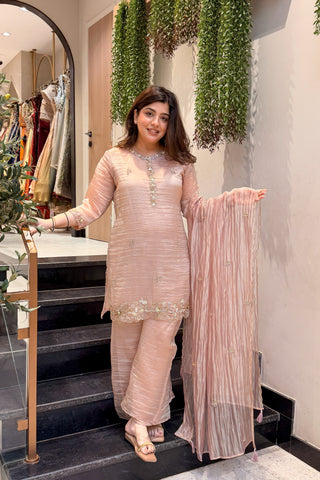 Zivanya Hand Embroidered Suit Set
