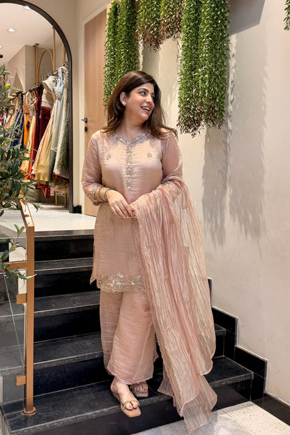 Zivanya Hand Embroidered Suit Set