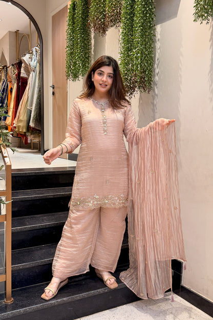 Zivanya Hand Embroidered Suit Set