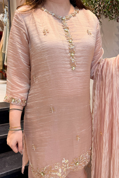 Zivanya Hand Embroidered Suit Set