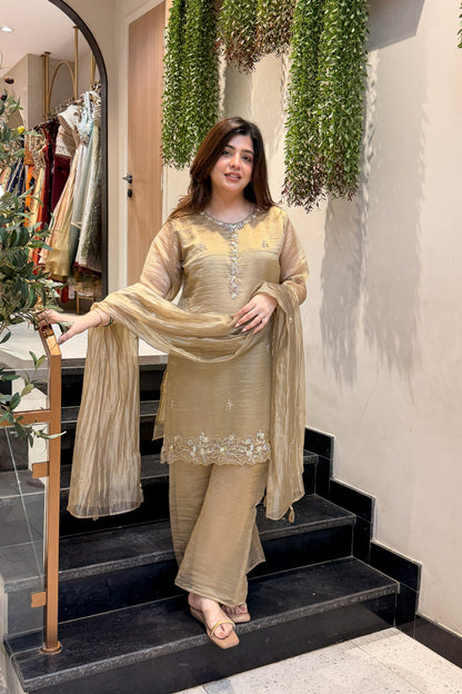 Zivanya Hand Embroidered Suit Set