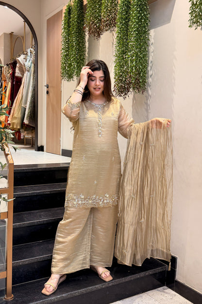 Zivanya Hand Embroidered Suit Set