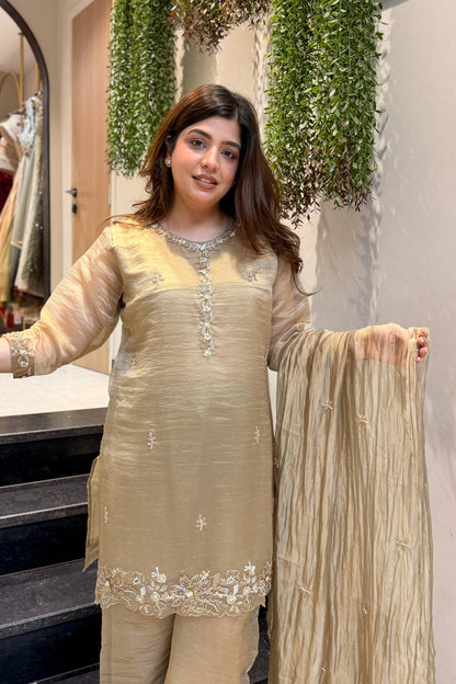 Zivanya Hand Embroidered Suit Set