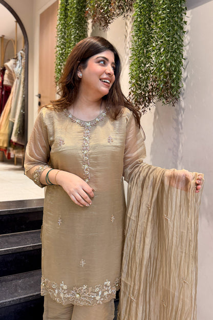 Zivanya Hand Embroidered Suit Set