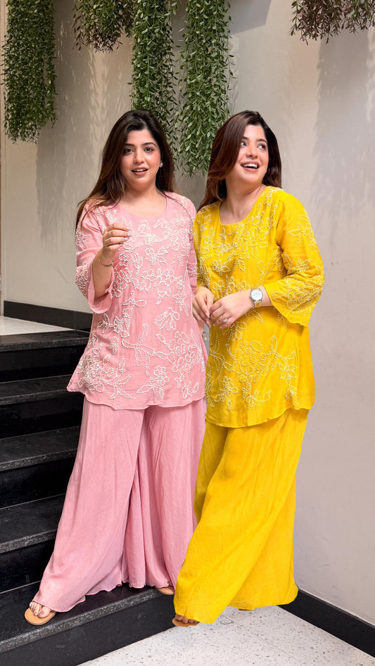 Meera Thread Embroidered Co ord Set