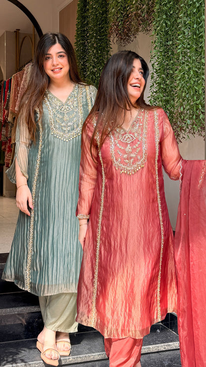 Navira Tissue Embroidered Suit Set