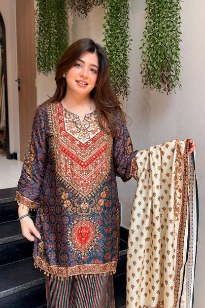 Saavya Printed Embroidered Suit Set