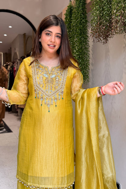 Yavika Tissue Embroidered Suit Set