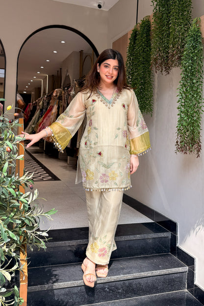 Sanmati Embroidered Tissue Co ord Set