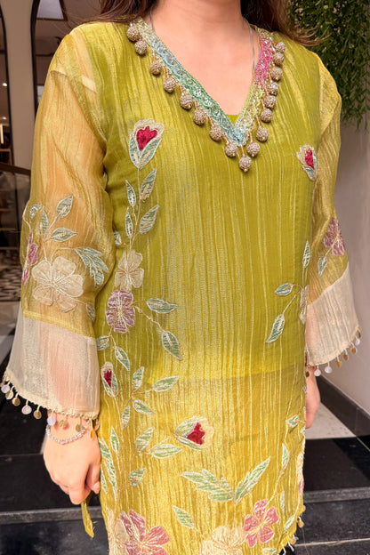 Sanmati Embroidered Tissue Co ord Set