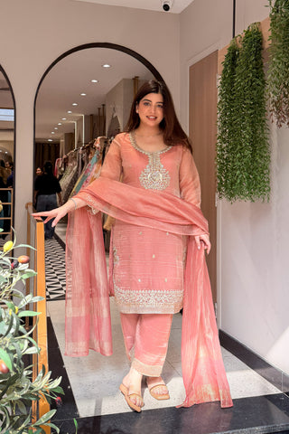Ayanika Embroidered Suit Set