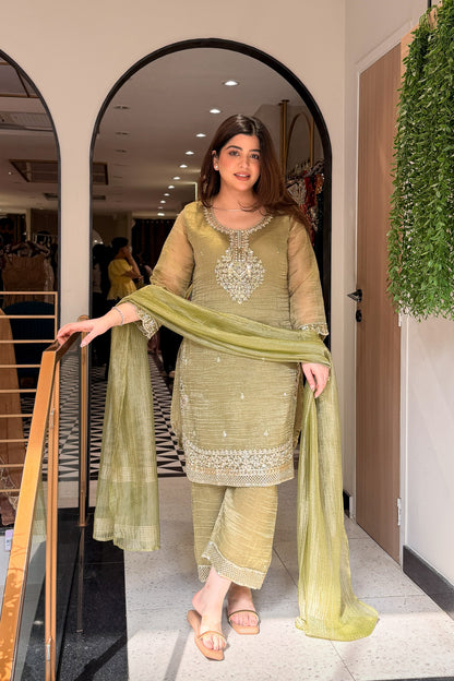 Ayanika Embroidered Suit Set