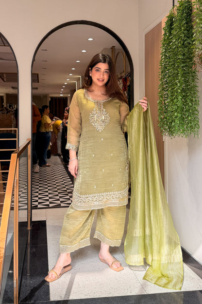 Ayanika Embroidered Suit Set