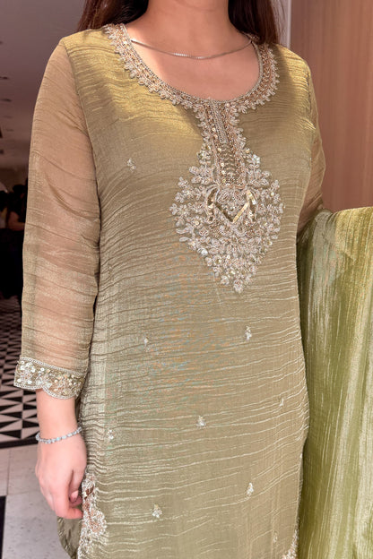 Ayanika Embroidered Suit Set