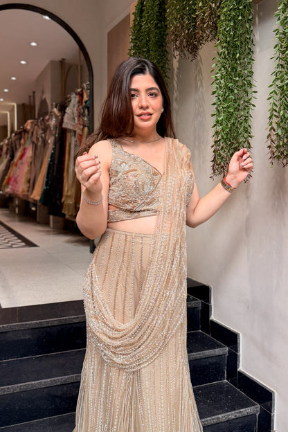 Ashvika Hand Embroidered Drape Saree