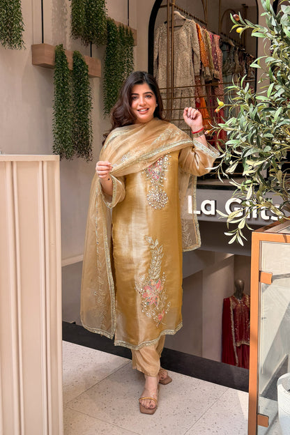 Anika Mirror & Gotta Embroidered Suit Set