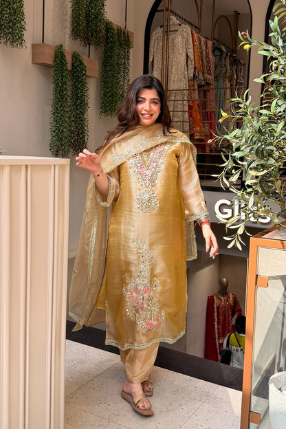 Anika Mirror & Gotta Embroidered Suit Set