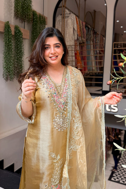 Anika Mirror & Gotta Embroidered Suit Set