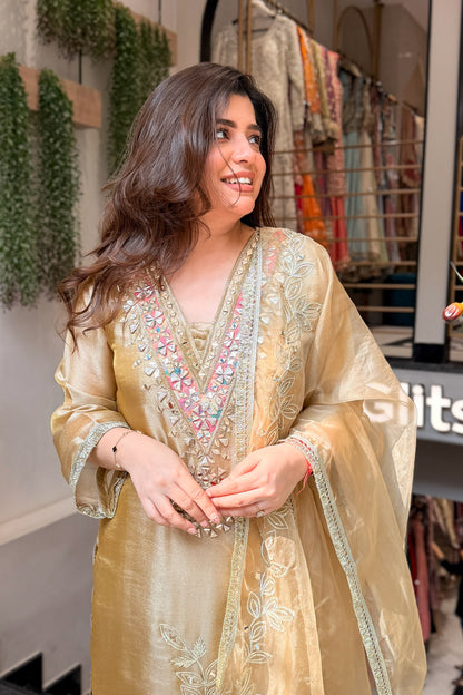 Anika Mirror & Gotta Embroidered Suit Set