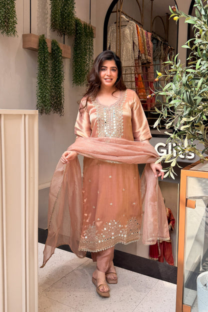 Vitika Mirror Embroidered Suit Set