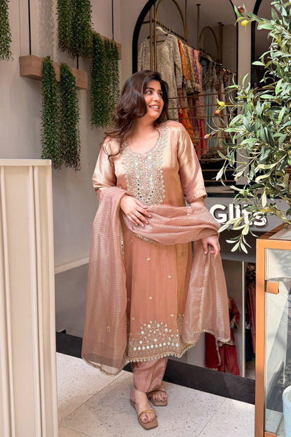 Vitika Mirror Embroidered Suit Set
