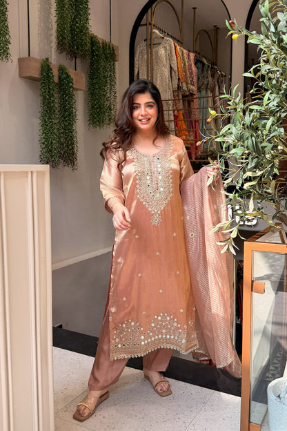 Vitika Mirror Embroidered Suit Set