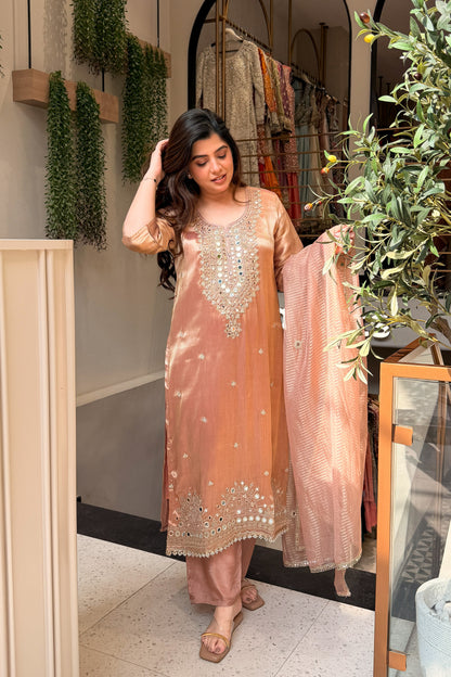 Vitika Mirror Embroidered Suit Set